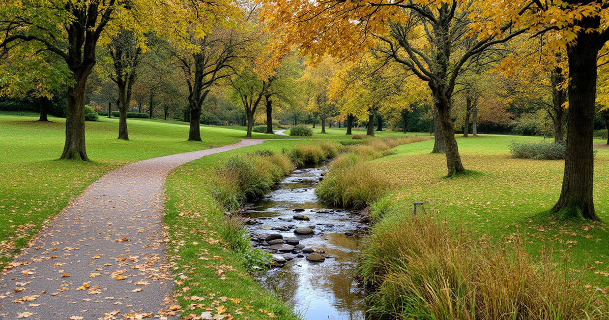 Green city park with a walking trail and creek in autumn