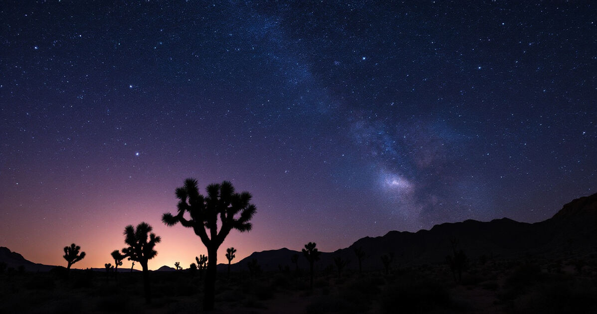 Starry night sky over the Mojave desert with Joshua tree silhouettes